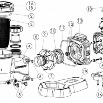 Hayward O-Ring MaxFlo II