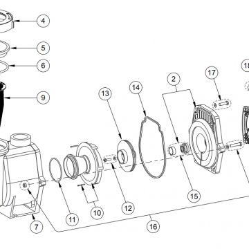 O-ring Pentair Whisperflo