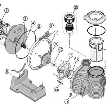 O-Ring Sta-Rite SW5P6R