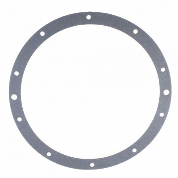 Hayward SPX0506DE underwater light flange gasket för liner