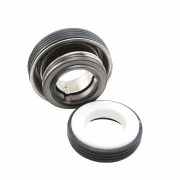 LX Swim Pool pump